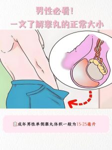 两侧睾丸大小差多少算正常-两性知识丨两性健康--你想了解的我都知道