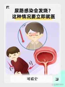 尿路感染会发烧吗-两性知识丨两性健康--你想了解的我都知道