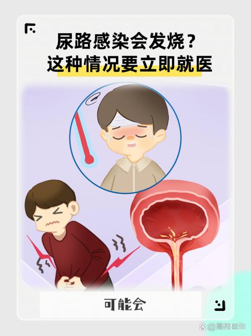 尿路感染会发烧吗