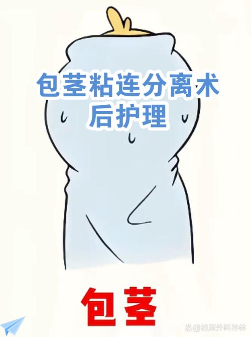 粘连分离术后怎么防再粘连-相关配图
