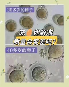 卵子冻存和胚胎冻存有什么不同-两性知识丨两性健康--你想了解的我都知道