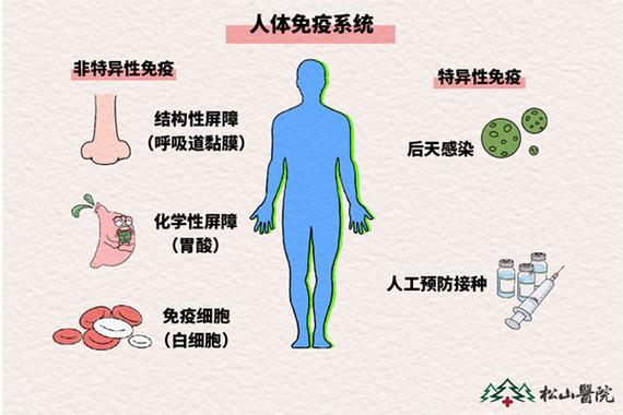 免疫系统有没有性别差异