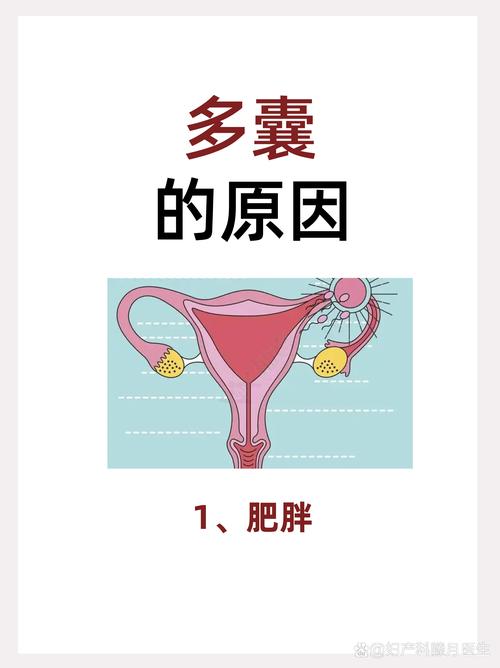 多囊和代谢异常为什么常并存-示意图