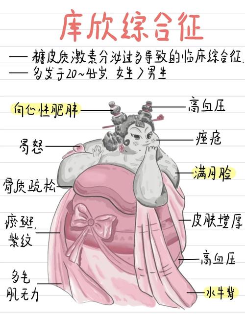性欲低和库欣综合征有关吗