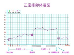 气温变化对女性排卵的影响，比你想的更微妙-两性知识丨两性健康--你想了解的我都知道