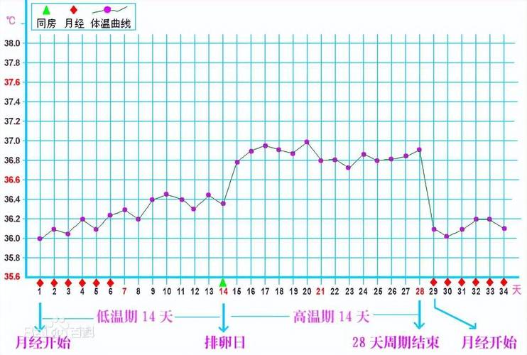 气温变化会影响排卵吗-相关配图