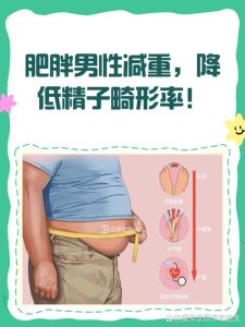 肥胖会降低男性生育力吗-两性知识丨两性健康--你想了解的我都知道