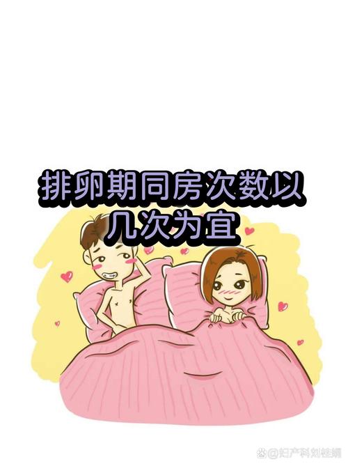 排卵期同房频率多少合适