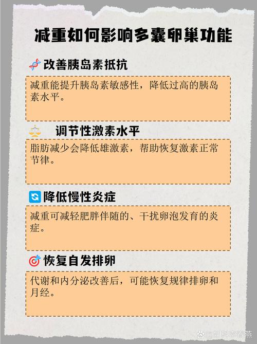 多囊患者减重多少能恢复排卵