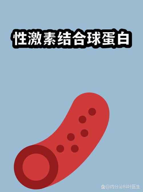 性欲低和性激素结合球蛋白有关吗